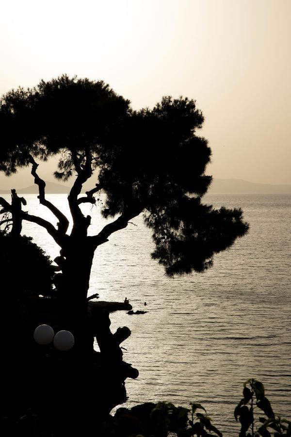 Irida's Sea Front With Astonishing View Theologos (Phthiotis)